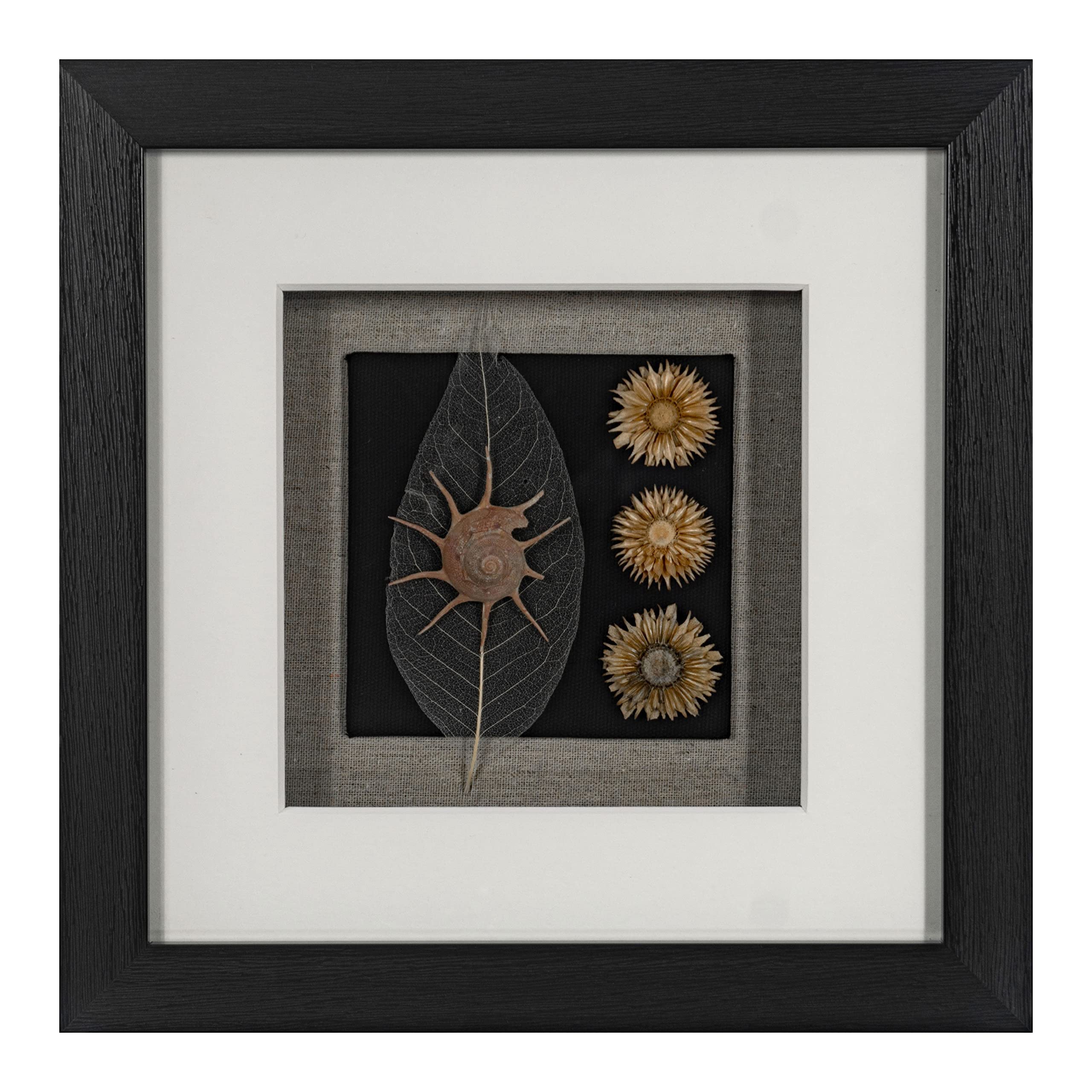 Huji Land & Sea Shadow Box Wall Décor (2 Piece Set) - Image 5