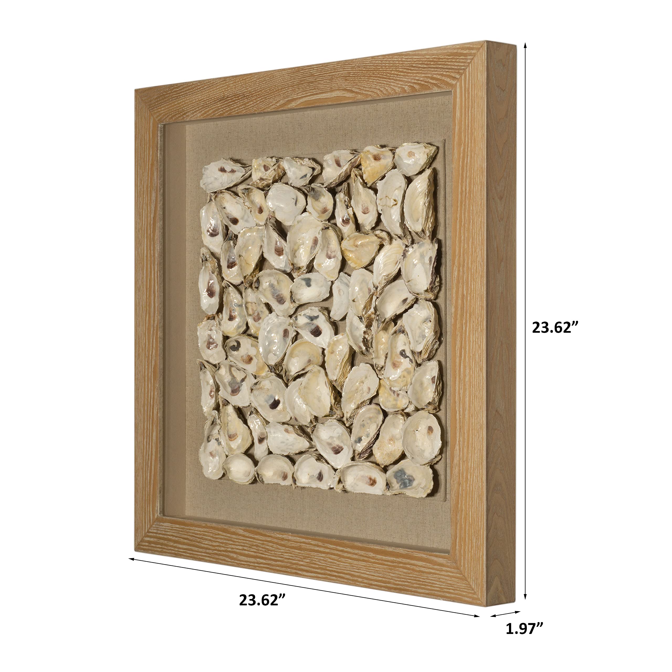 Oyster Cluster Shadow Box Wall Decor - Image 5